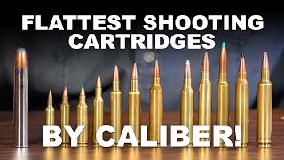 Flattest Shooting Cartridges by Caliber [upl. by Ellekcim869]