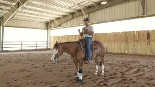 HOW TO GET THE PERFECT REINING STOP WITH YOUR HORSE [upl. by Nate]