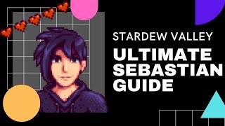 Sebastian Villager Overview Stardew Valley Character Guide [upl. by Yve]