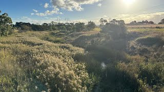 VRI Hall Traralgon [upl. by Gnehs533]