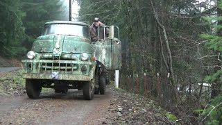 1955 Dodge COE Truck Rescued From Forest CTR227 [upl. by Llerod505]