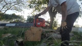 Echo cs800p chainsaw review [upl. by Stewart]