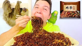 Jajangmyeon • 5 Packs Black Bean Noodles With My Sloth • MUKBANG [upl. by Nodnart914]