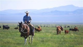 The Last Cowboy at Pine Creek Ranch [upl. by Absa]