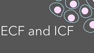 3 Intro to fluid compartments ECF and ICF [upl. by Romain]