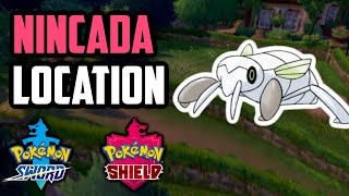 How to Catch Nincada  Pokemon Sword amp Shield [upl. by Jarrell]