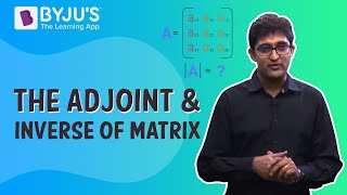 How To Find The Adjoint And Inverse Of Matrix [upl. by Quintina721]