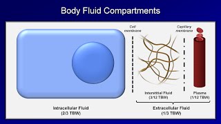 IV Fluids Lesson 1  Basic Principles [upl. by Lindemann]