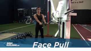 Face Pull  Shoulder Exercise  Bodybuildingcom [upl. by Morris]