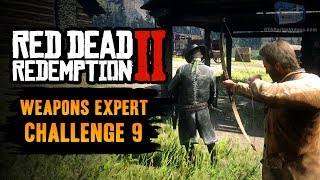 Red Dead Redemption 2 Weapons Expert Challenge 9 Guide  Kill 9 enemies from behind using the bow [upl. by Leahcin]