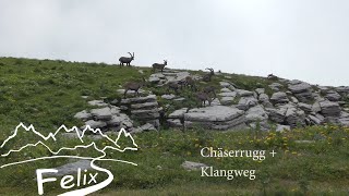 Walensee Wanderungen Chäserrugg  Klangweg 2016 [upl. by Hollah787]