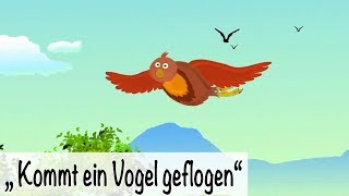 🎵 Kommt ein Vogel geflogen  Kinderlieder deutsch  Frühlingslieder  muenchenmedia [upl. by Torrance]