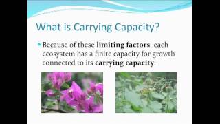 Limiting Factors and Carrying Capacity [upl. by Ahtanoj]