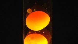 How To Make a Simple Lava Lamp At Home [upl. by Tjader]