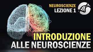 Introduzione alle Neuroscienze  NEUROSCIENZE  Lezione 1 [upl. by Olmstead]