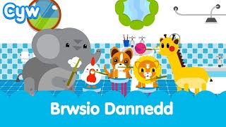 Cân Brwsio Dannedd  The Cyw Toothbrushing song [upl. by Ttennaj]