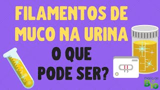 FILAMENTOS DE MUCO NA URINA o que pode ser [upl. by Aurilia859]