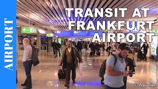 TRANSIT WALK AT FRANKFURT Airport FRA Terminal 1  Connection Flight Transfer Arriving amp Departing [upl. by Chisholm248]