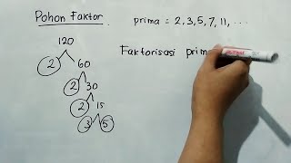 Membuat Pohon Faktor dan Faktorisasi Prima  Matematika SD [upl. by Graner435]