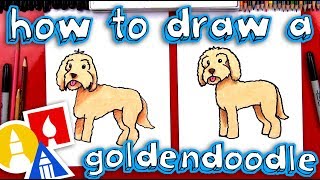 How To Draw A Goldendoodle [upl. by Palmer]