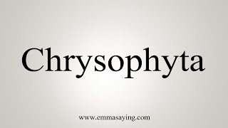 How To Say Chrysophyta [upl. by Eiramlatsyrc]