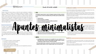 3 Ideas para Apuntes Digitales Minimalistas en Word [upl. by Marrin]