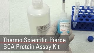 BCA Protein Assay Reagent bicinchoninic acid [upl. by Avad869]