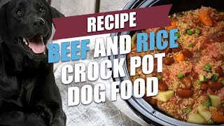 Beef and Rice Crock Pot Dog Food Recipe Cheap and Healthy [upl. by Olinad]