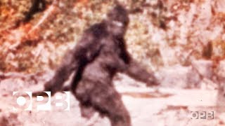 The Film That Made Bigfoot A Star  OPB [upl. by Ahsiuq218]