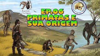 Primatas e sua origem  Série Evolução Humana  Ep 06 [upl. by Eachelle322]