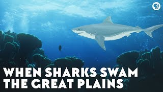 When Sharks Swam the Great Plains [upl. by Yebba380]