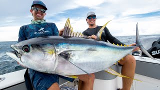 Monster Yellowfin Tuna [upl. by Kcirdde]