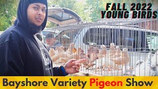 Bayshore Variety Pigeon Club YB 2022 [upl. by Cyn]