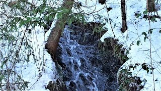 Wassergeräusch Bergbach Fluss Wasserfall zur Entspannung mit Musik [upl. by Placia]