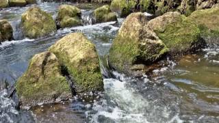 Wasserfall Geräusche und Wassergeräusche vom Wasserfall [upl. by Gil]