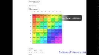 Incomplete Dominance Punnett Square [upl. by Adnulahs894]