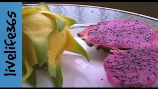 How toPrepare amp Eat Dragon Fruit [upl. by Aeuhsoj173]