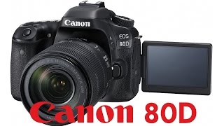 Canon 80D Overview Tutorial [upl. by Alliuqahs908]