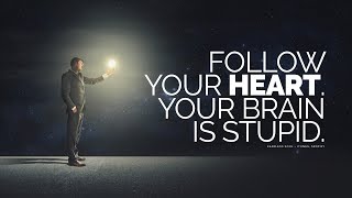 Follow Your Heart Your Brain Is Stupid [upl. by Lagas]