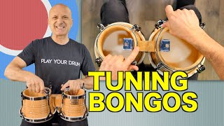 How to Tune Bongos  Tutorial [upl. by Nojel]