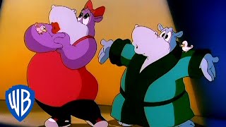 Animaniacs  The Hippo Opera  Classic Cartoon  WB Kids [upl. by Maibach]