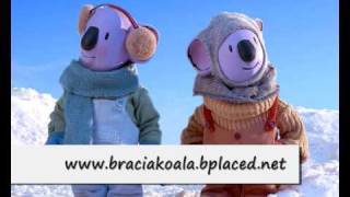 Bracia Koala  The Koala Brothers [upl. by Kasevich416]