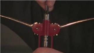 Wine Advice  How to Open Wine With a Lever Opener [upl. by Alderson]